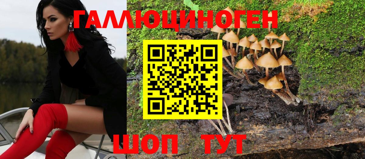 Псилоцибиновые грибы мицелий Шелехов