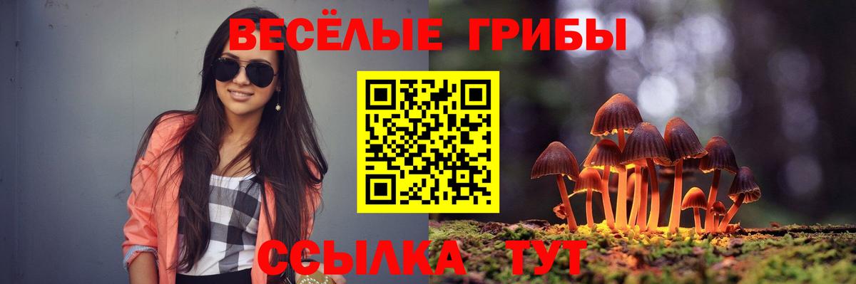 Галлюциногенные грибы ЛСД  Вход с VPN  Шелехов 